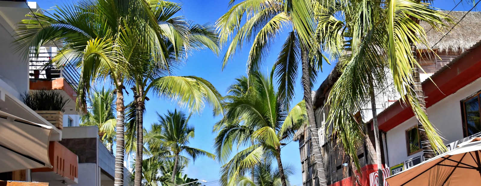 Sayulita, Riviera Nayarit